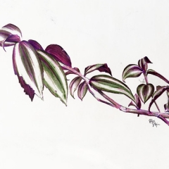 2018-03-02 14.06.29 2018-03-02 14.06.29 • <a style="font-size:0.8em;" href="http://www.flickr.com/photos/46362485@N02/26706980998/" target="_blank">View on Flickr</a>