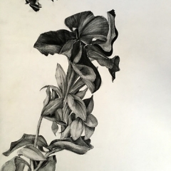 2018-03-02 09.14.21 2018-03-02 09.14.21 • <a style="font-size:0.8em;" href="http://www.flickr.com/photos/46362485@N02/40533986762/" target="_blank">View on Flickr</a>